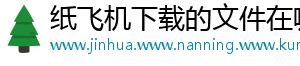 纸飞机下载的文件在哪里